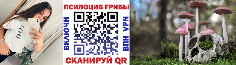Галлюциногенные грибы GOLDEN TEACHER  Новоржев 