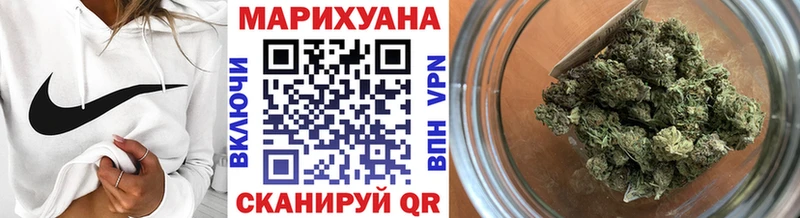 где можно купить   Новоржев  Каннабис VHQ 